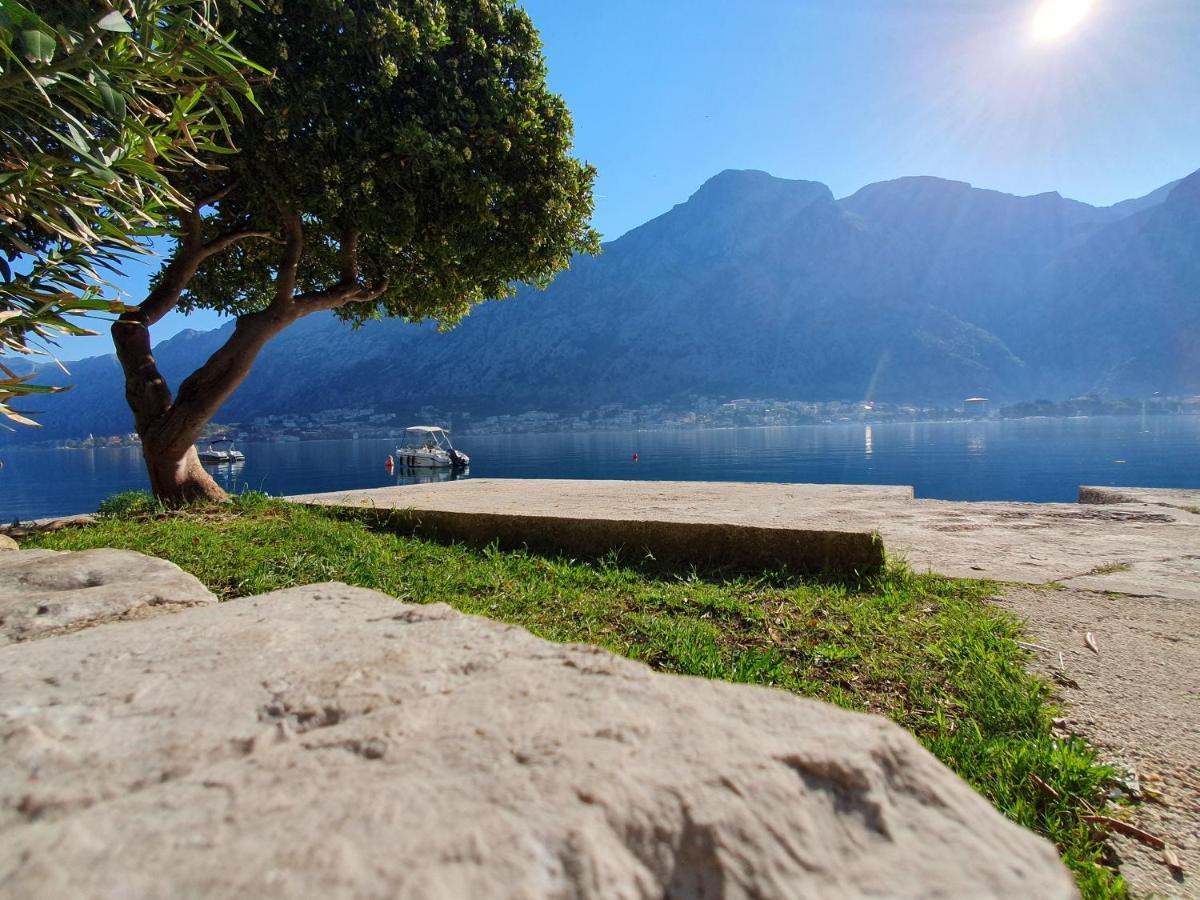 Apartman Pontica Kotor Buitenkant foto