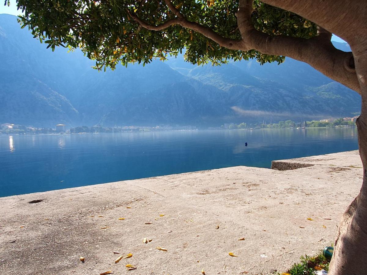Apartman Pontica Kotor Buitenkant foto