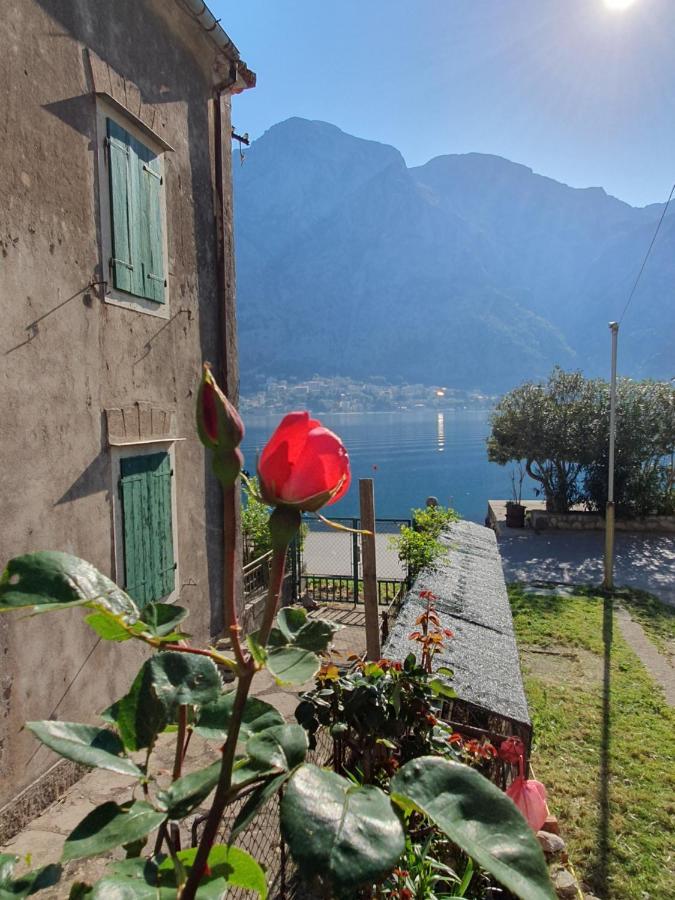 Apartman Pontica Kotor Buitenkant foto