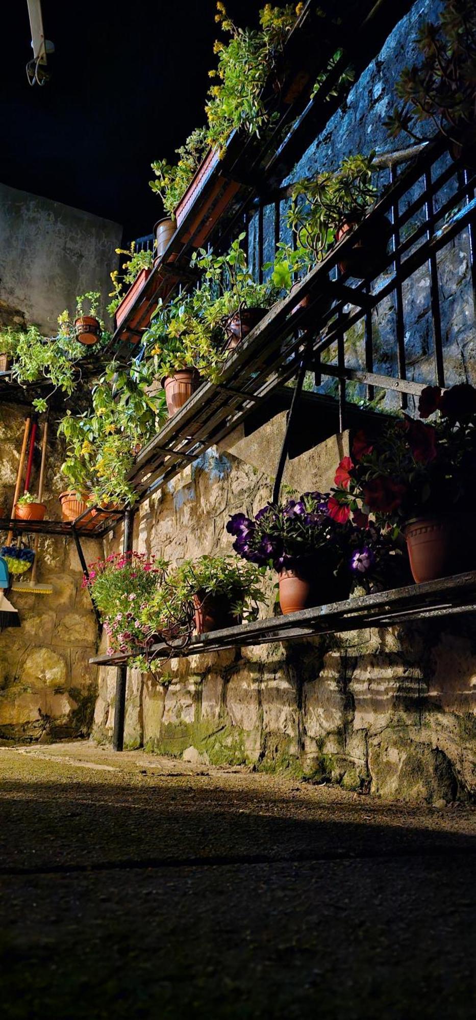 Apartman Pontica Kotor Buitenkant foto